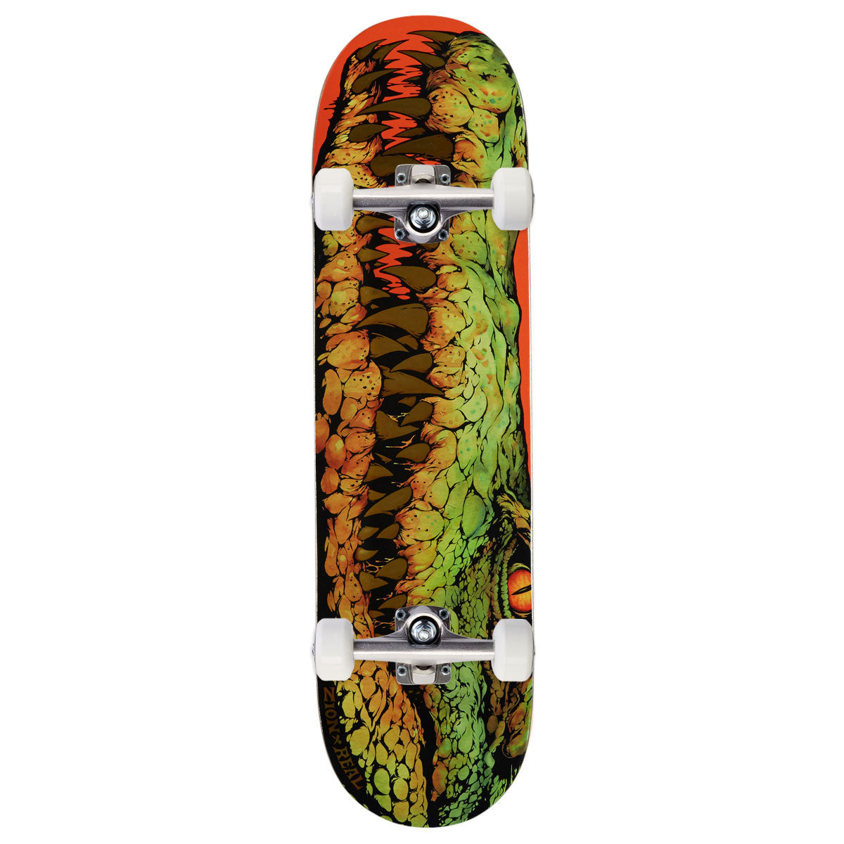 Real Zion Swamp Puppy Heavy Weight Complete Skateboard | 8.28"