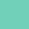 Anti-Hero Team Jalopi Yardbird Complete Skateboard | Teal | 9.81"