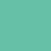 Anti-Hero Team Jalopi Yardbird Skateboard Deck | Teal | 9.81"